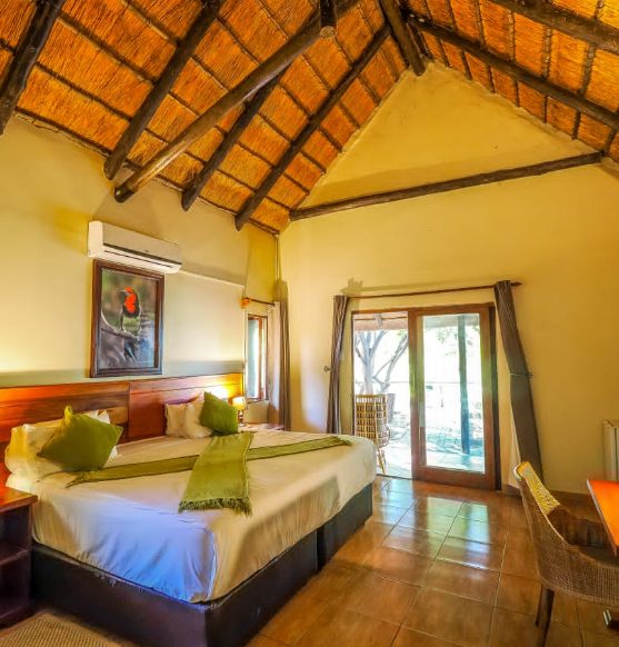 Explore the Hidden Gem of Botswana: A Comprehensive Guide to Mochaba Crossing’s Unique Tourism Activities and Cuisine