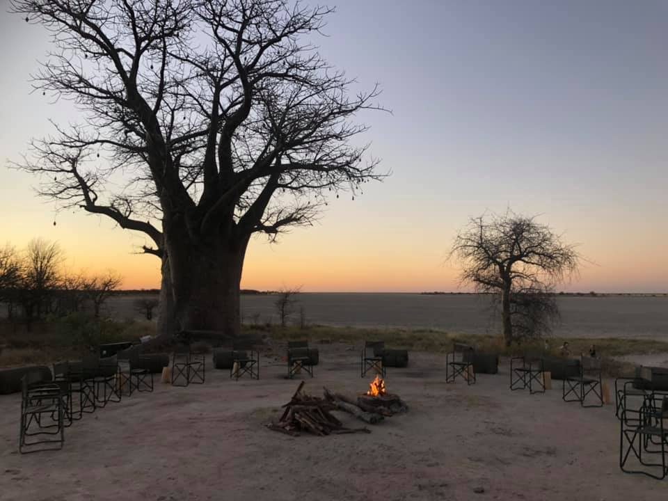 Discover Ngweti Safaris: An Unforgettable Botswana Adventure